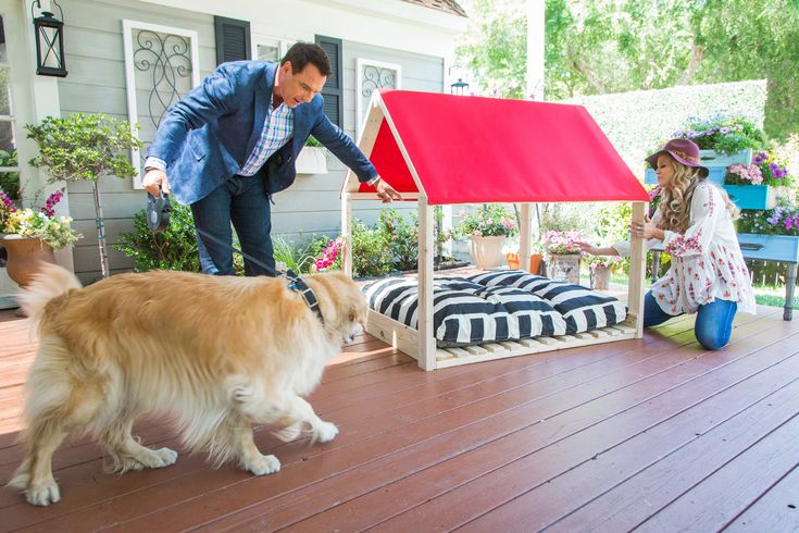 a man standing next to a dog on top of a wooden deck