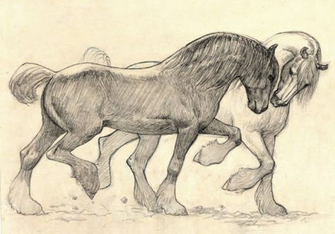 a pencil drawing of two horses running side by side