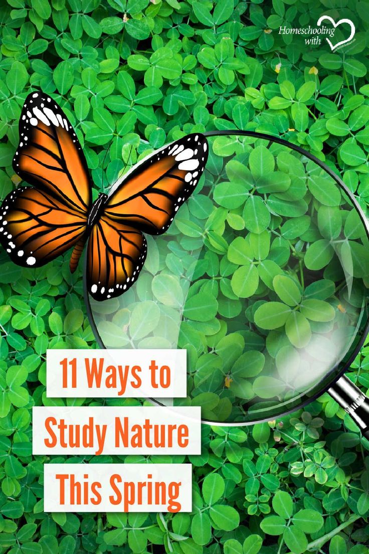 a magnifying glass sitting on top of green leaves with the words 11 ways to study nature this spring