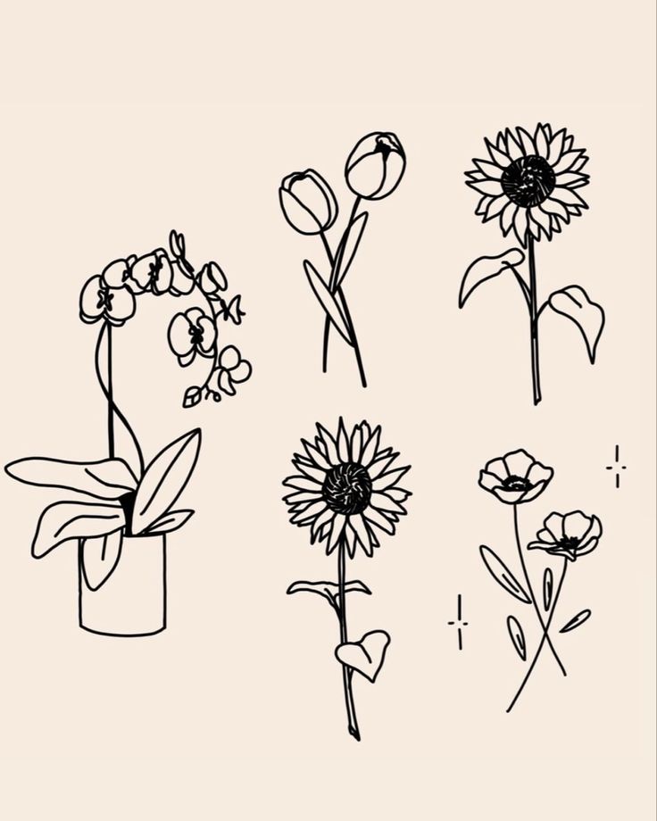 four different types of flowers are shown in black and white, one is drawn by hand