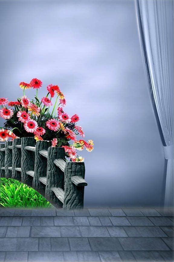 flowers are growing out of the top of a wooden fence in front of a window