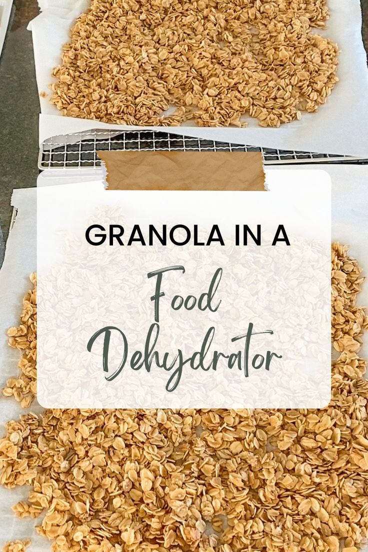 granola in a food dehydraator on top of a white paper towel