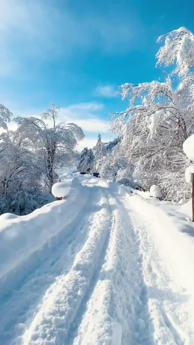 a snow covered road with trees and blue sky