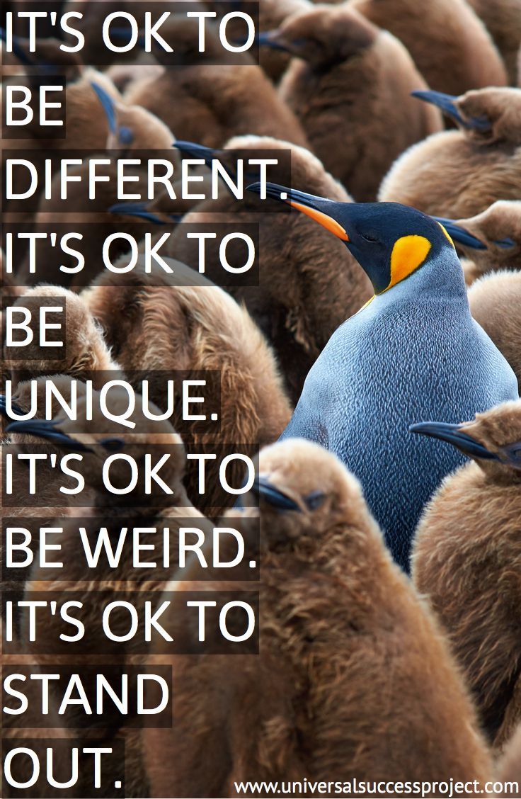 a large group of penguins with a quote about it's ok to be different