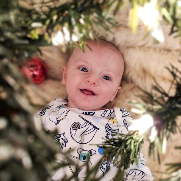 a baby laying in a christmas tree looking up at the camera with his eyes wide open