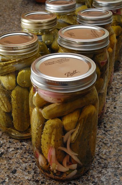 pickles in jars lined up on the counter