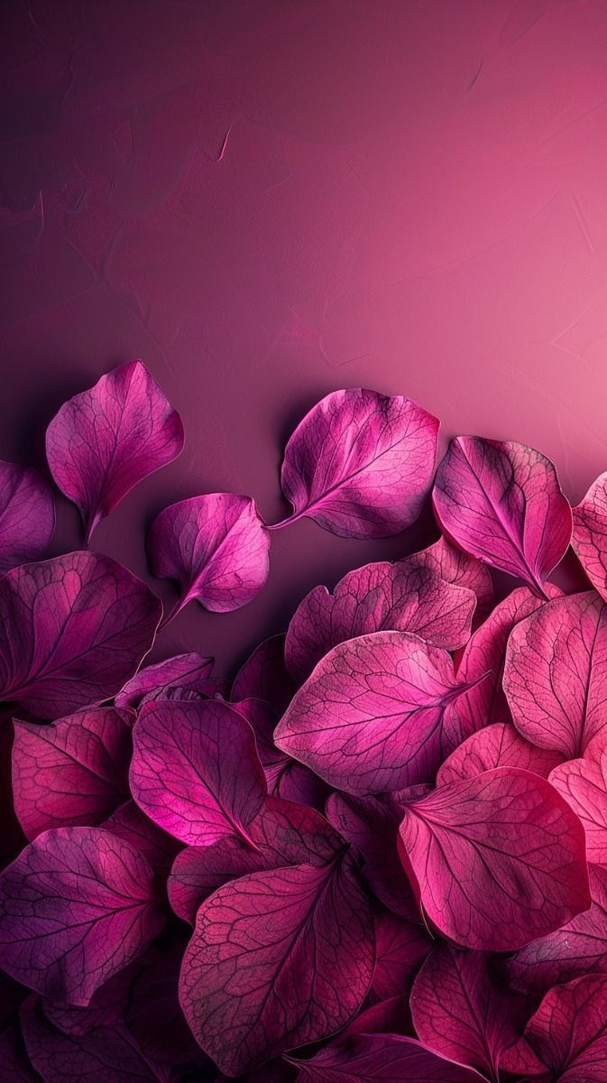 purple leaves against a pink background