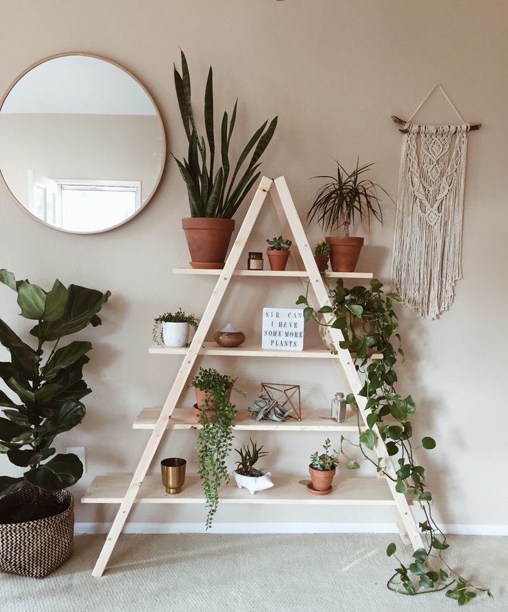 a shelf with potted plants on it next to a mirror and wall hangings