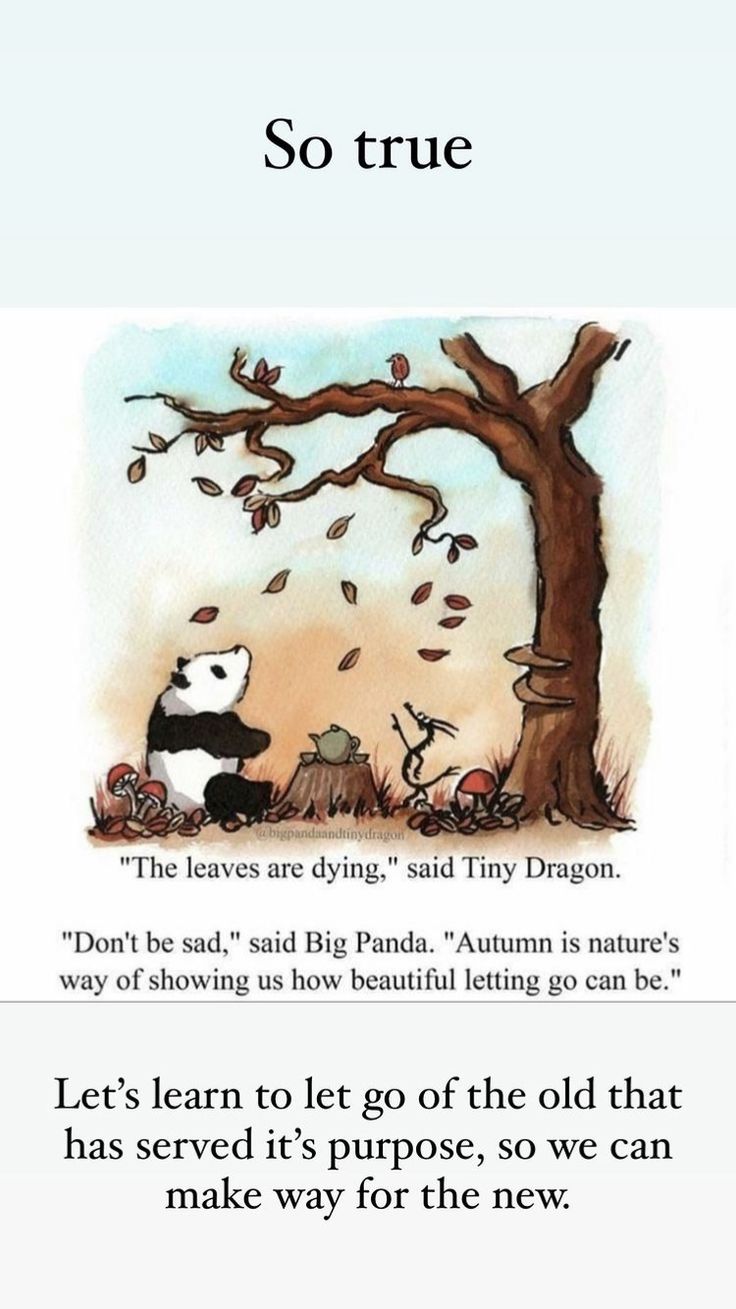 a panda bear sitting under a tree with leaves falling off it's branches and the caption reads, the leaves are dying said tiny dragon