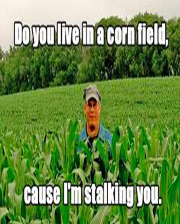 a man standing in the middle of a green field with words above him that say, do you live in a corn field? cause i'm stalking you