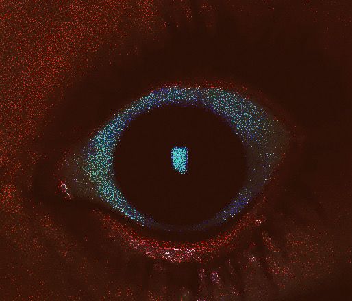 an eye with blue and red lights on it's iris, seen from the side