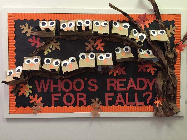 a bulletin board with owls and leaves on it that says who's ready for fall?