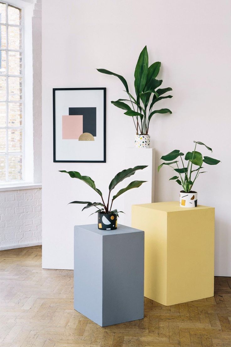 two planters sitting next to each other in front of a white wall