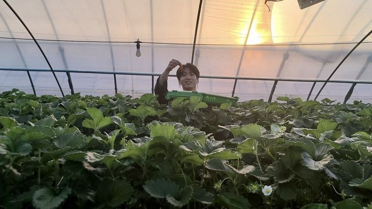 a person in a greenhouse with plants growing