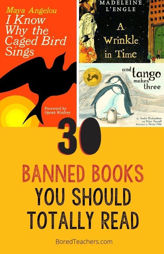 the cover of 30 banned books you should't read in 3 minutes or less