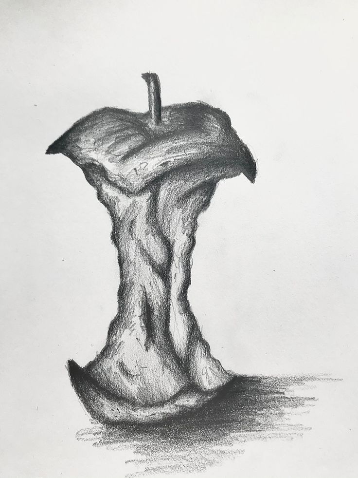 a pencil drawing of an apple in the shape of a tree stump with its trunk sticking out