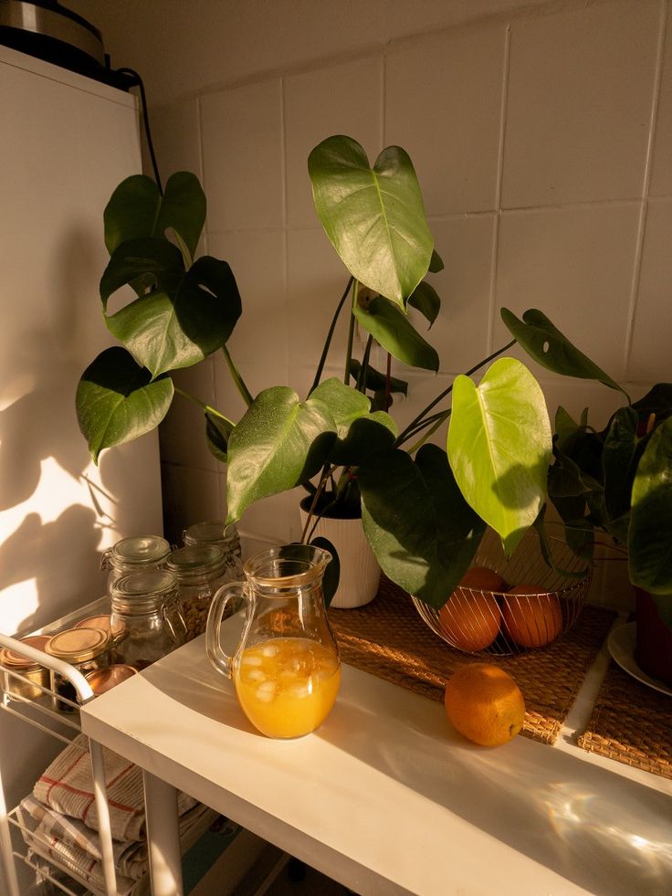 two pitchers of orange juice sit on a shelf next to some potted plants