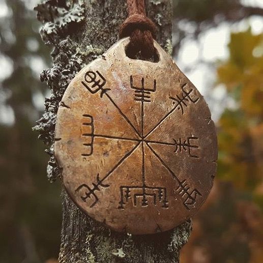 a tree with some writing on it hanging from a rope in front of the trees