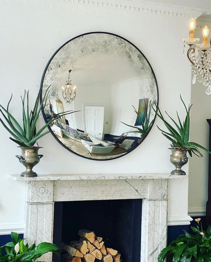 there is a mirror above the fireplace with plants on it