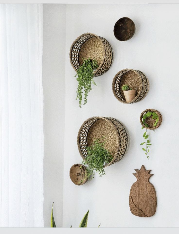 three pineapple shaped baskets are hanging on the wall next to plants and potted plants