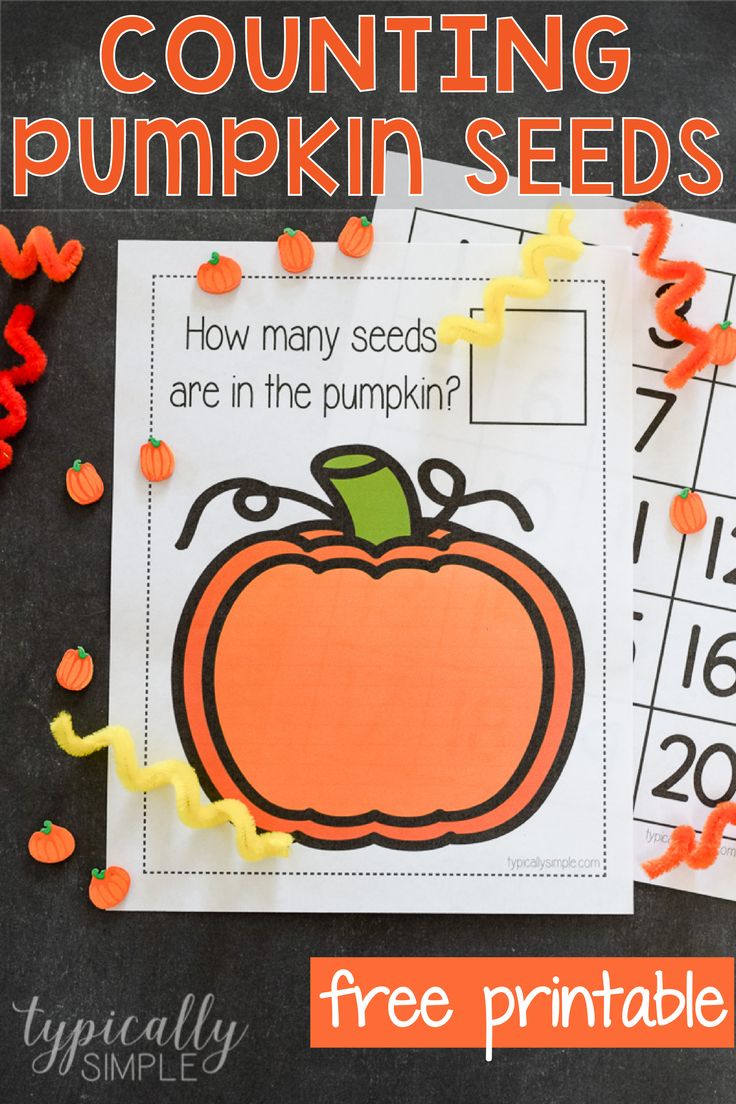 counting pumpkin seeds activity for kids to practice counting