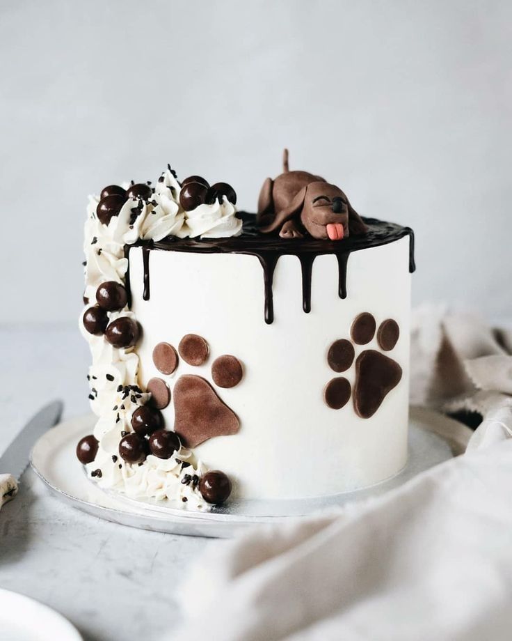 a cake decorated with white frosting, chocolate and dog paw prints on the top