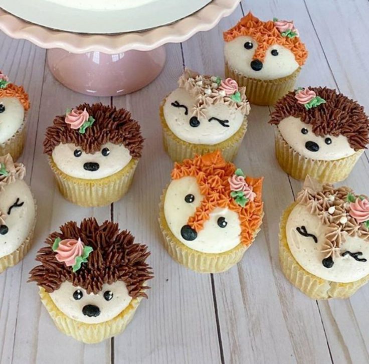 cupcakes decorated with hedgehog faces and flowers