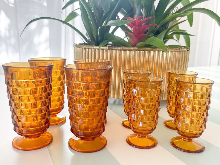 a group of yellow glass cups sitting on top of a table next to a potted plant