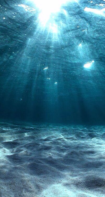 an underwater view of the ocean with sunlight coming through the water