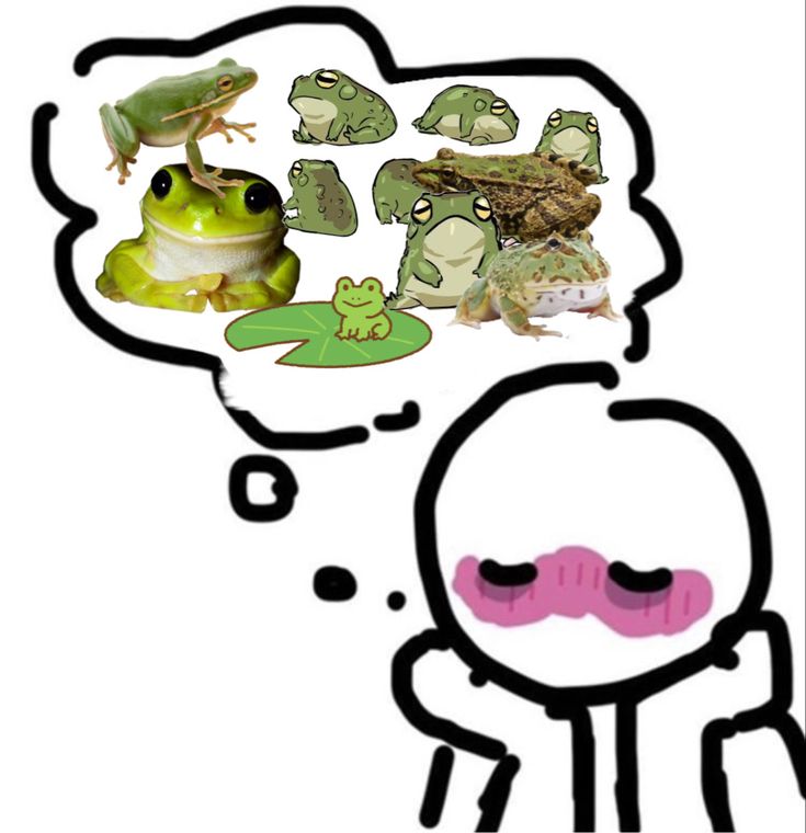 the frog is thinking about frogs and toades