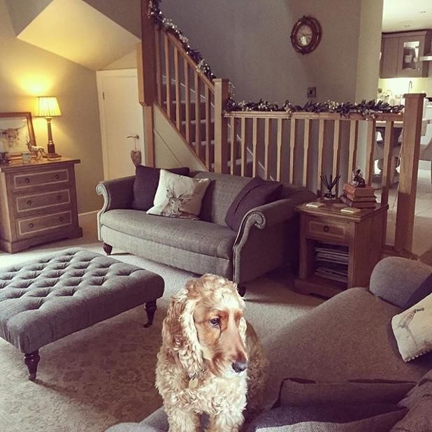 a dog is sitting in the middle of a living room with couches and chairs