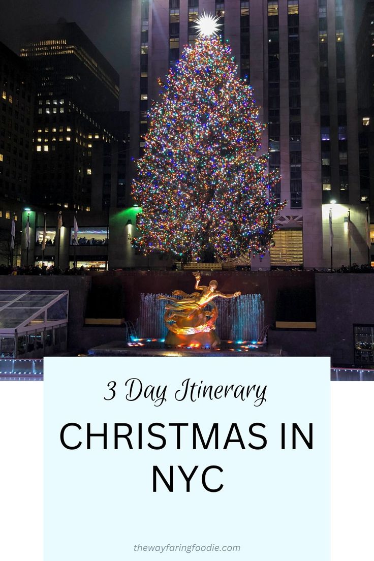 The Best New York Christmas Itinerary for First Timers - The Wayfaring Foodie Christmas Itinerary, New York In December, Christmas In Nyc, New York City Christmas, York Christmas, Visit New York City, Columbus Circle, Chelsea Market, Visit New York