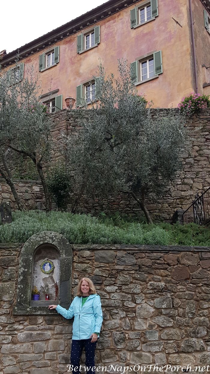 a woman standing next to a stone wall with an olive tree growing on top of it