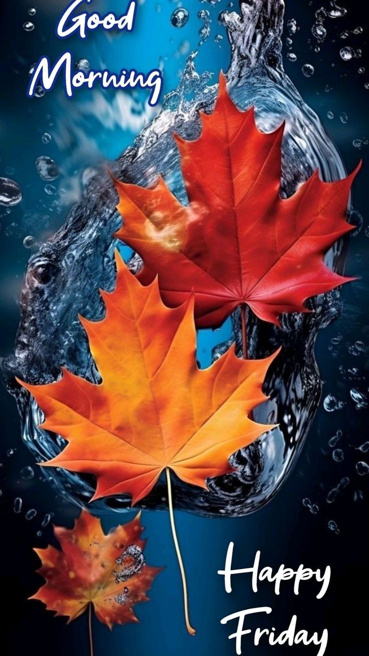 two maple leaves floating in water with the words happy friday