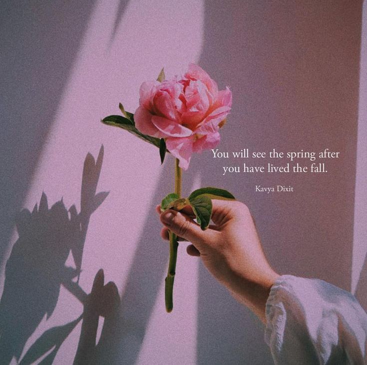 a person holding a pink flower in their hand with a quote above it that reads, you will see the spring life if you have lived the fall