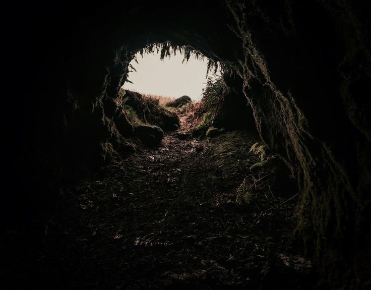 a dark tunnel with trees growing out of it's sides and the light at the end