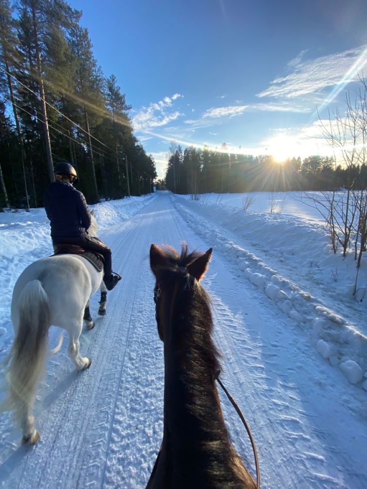 two people riding horses in the snow on a trail with trees and blue sky behind them