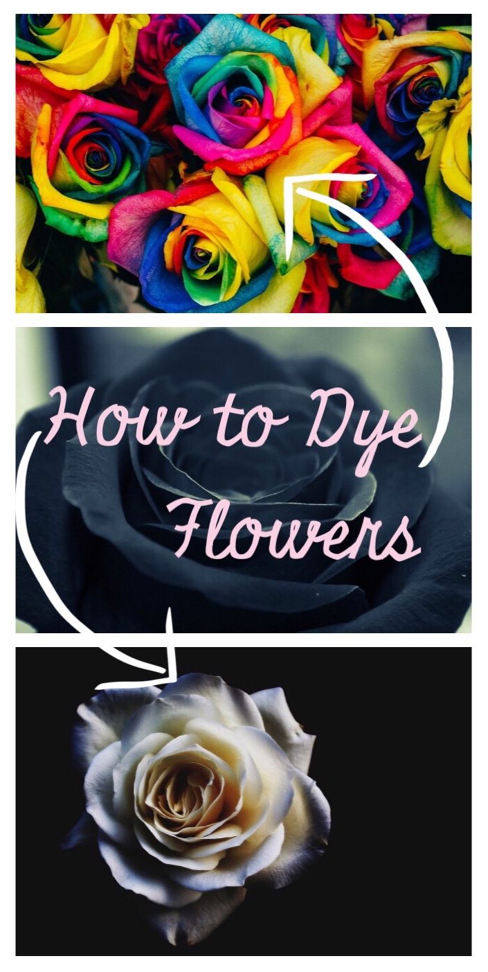 how to dye flowers in photoshopped