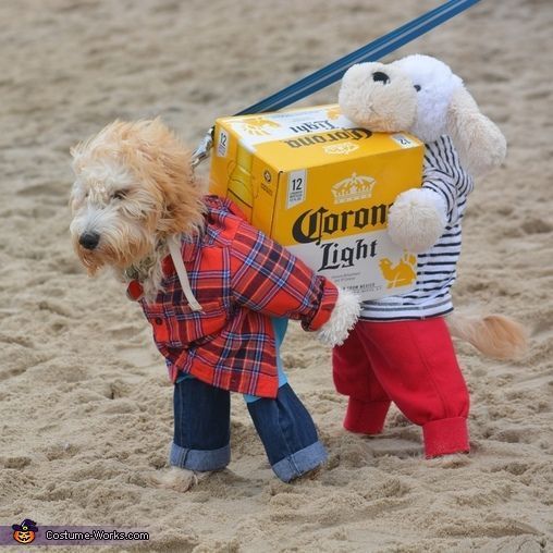 two stuffed animals are on the beach with a box