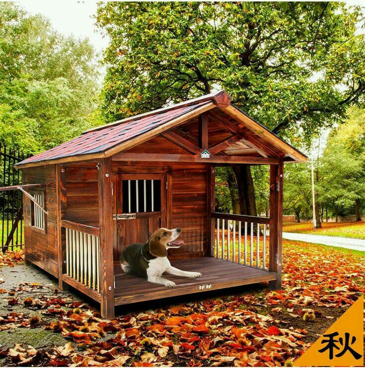 a dog sitting on top of a wooden platform in front of a tree filled with leaves