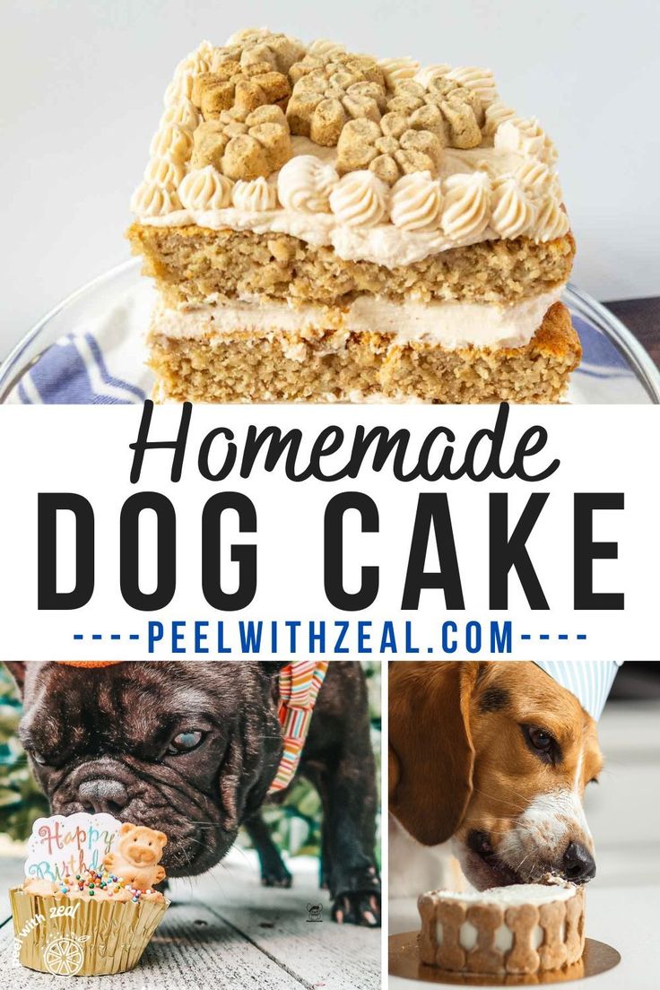 homemade dog cake with white frosting and sprinkles on top is shown in this collage