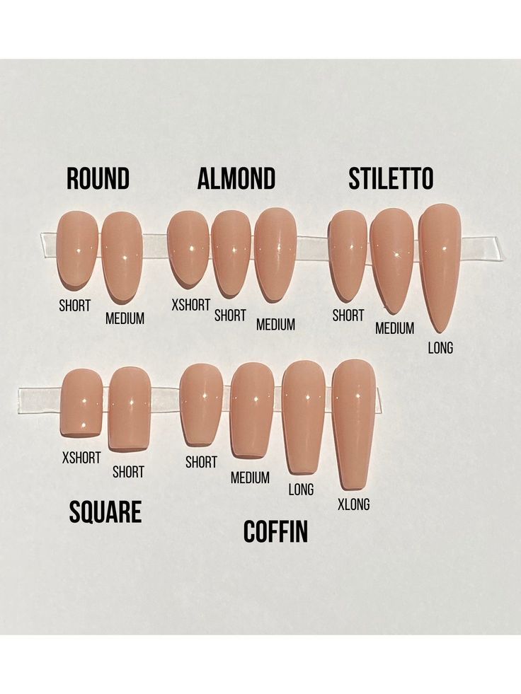 Natural And White Nails, Nail Shape Examples, Nails Length And Shape, Silver Press On Nails, S Size Nails, Almond Nail Length Chart, Nail Length Chart And Shape, Different Nail Shapes On One Hand, Nail Lengths And Shape Chart