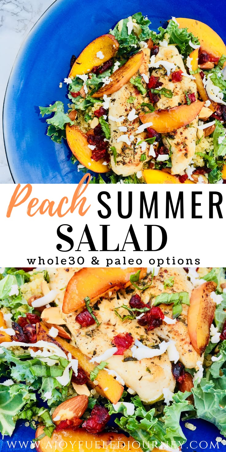 chicken and peach salad with balsamic dressing on the side is shown in two separate blue plates