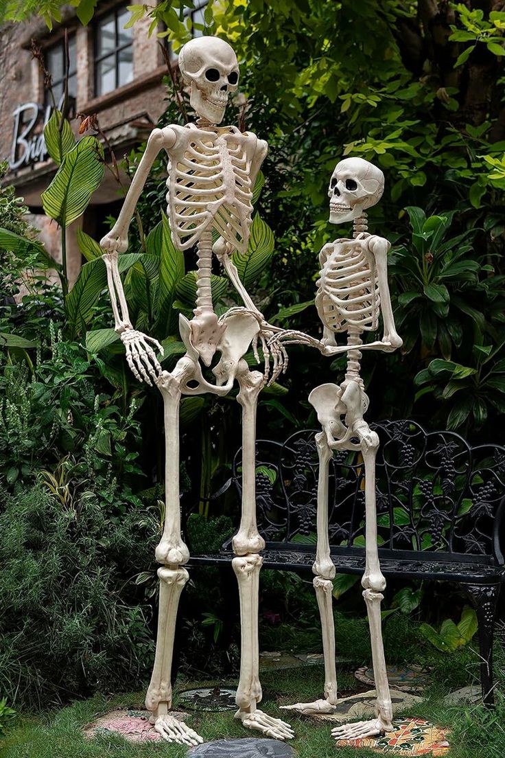 two skeletons standing next to each other in the grass