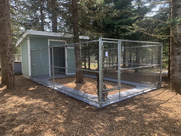 a dog kennel in the middle of some trees