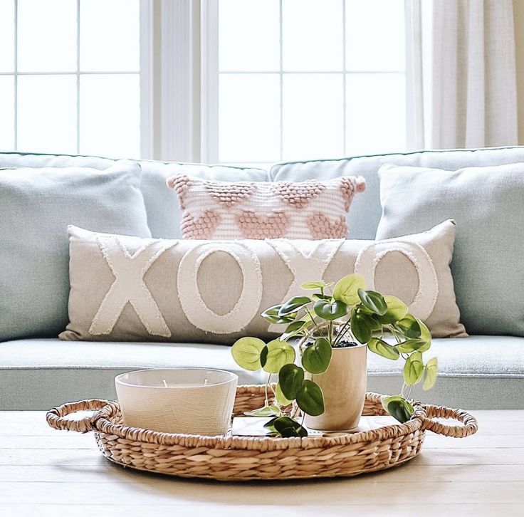 a living room filled with furniture and a plant on top of a tray next to a window