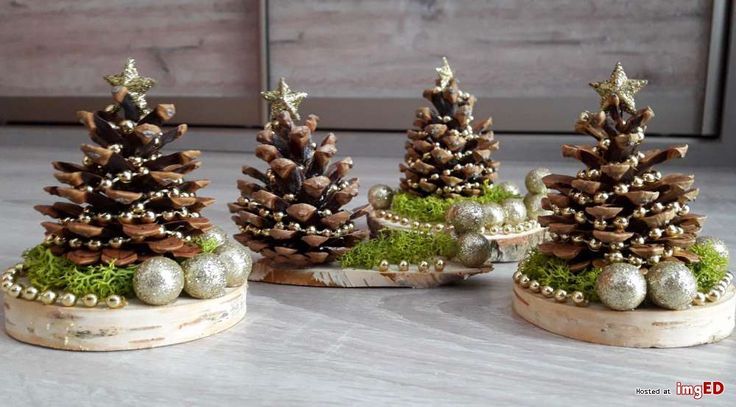 three pine cones are sitting on top of some moss