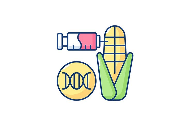 a corn on the cob and a pill bottle