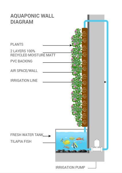 an aquaponic wall diagram showing the different types of water and plants in it