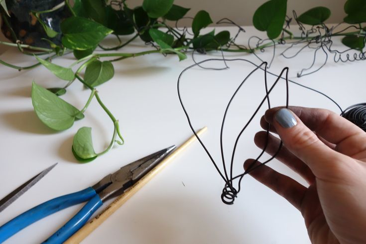 a person holding scissors and wire next to some green plants on a white counter top